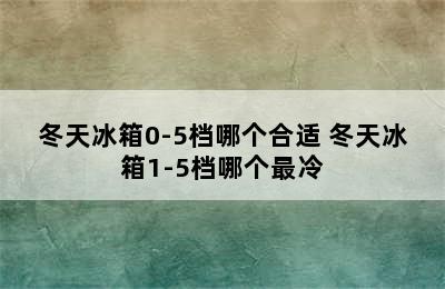 冬天冰箱0-5档哪个合适 冬天冰箱1-5档哪个最冷